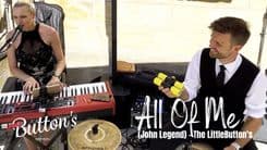 All Of Me  - John Legend - Cover by Franziska Langer